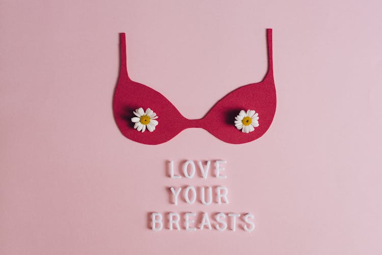 A Brassiere Cutout On A Pink Surface