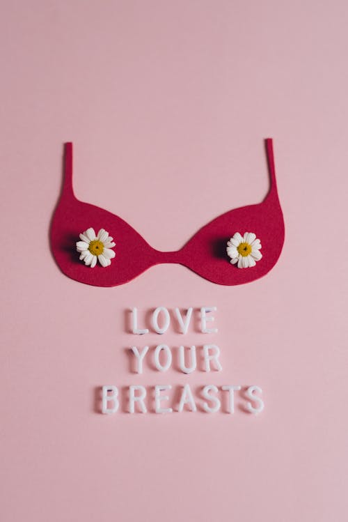 A Brassiere Cutout on a Pink Surface