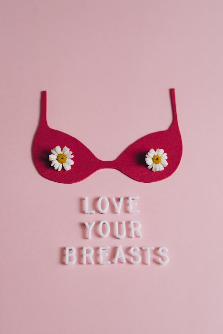 A Brassiere Cutout On A Pink Surface