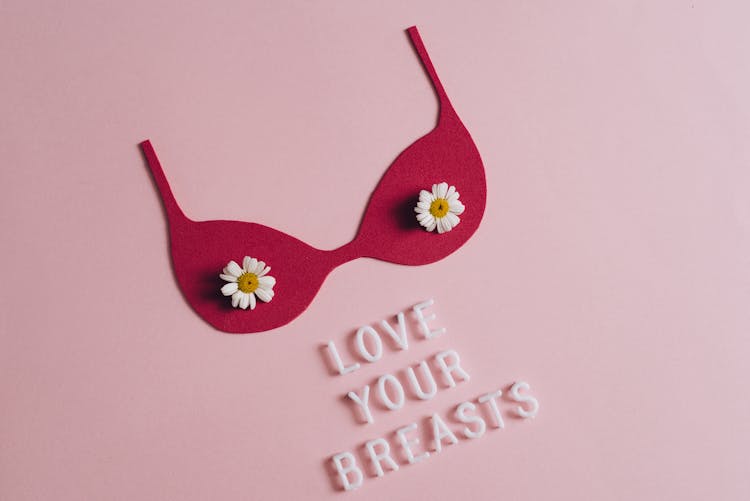 A Brassiere Cutout On A Pink Surface