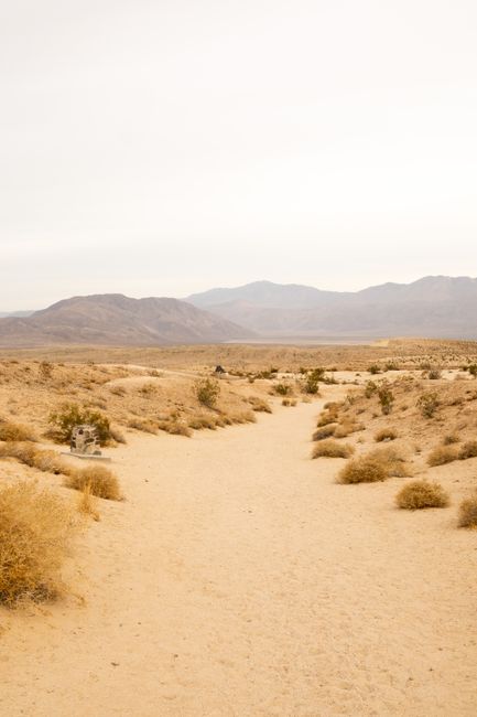 Explore the serene desert landscape and mountains in Borrego Springs, California.