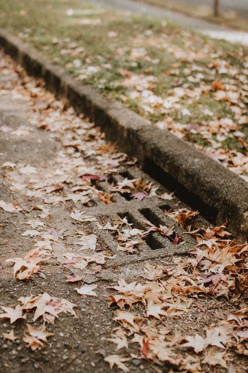 A Close-Up Shot of a Storm Drain · Free Stock Photo