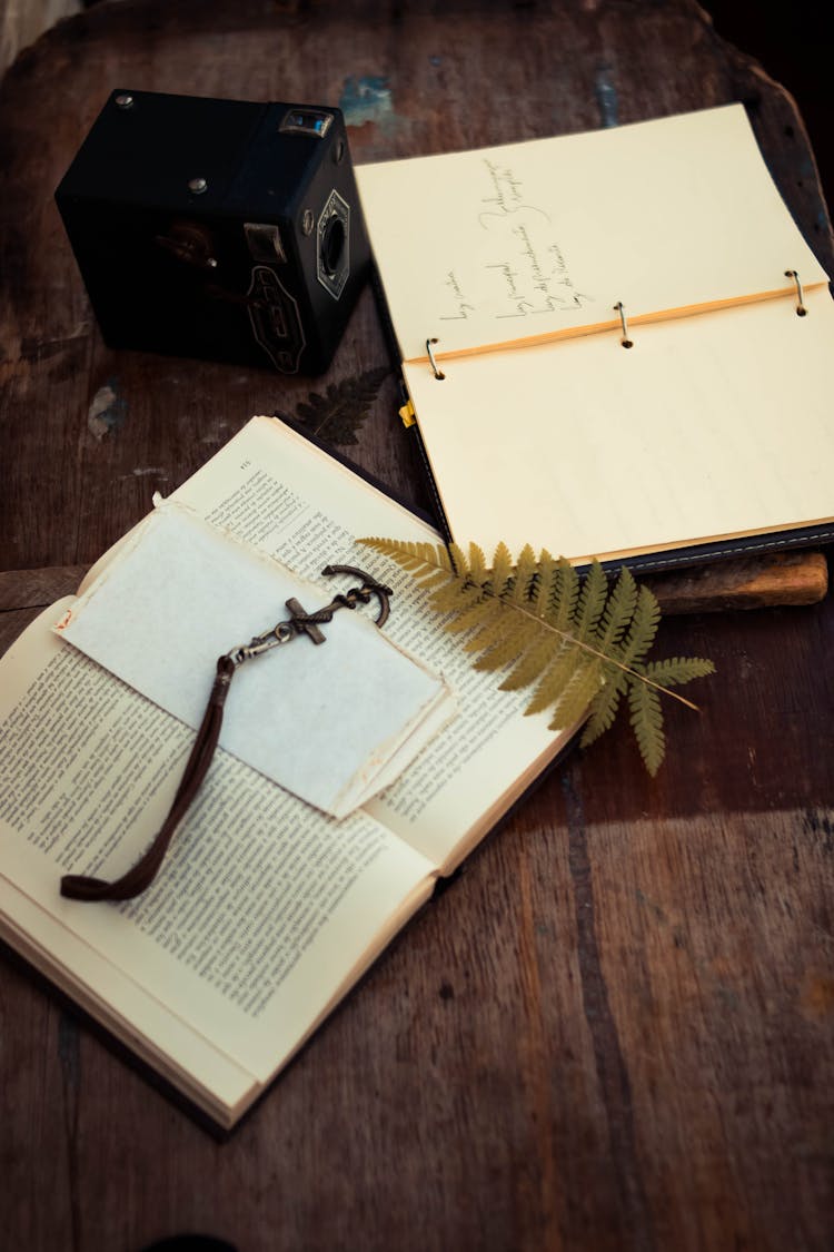 Book And Planner Near Vintage Camera