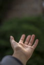 Free stock photo of adult, afternoon, blur