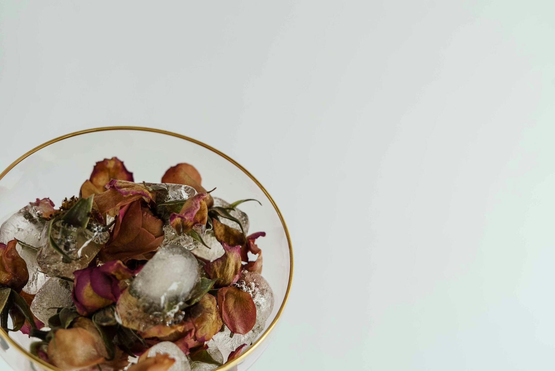 Glass of ice with dried flower buds