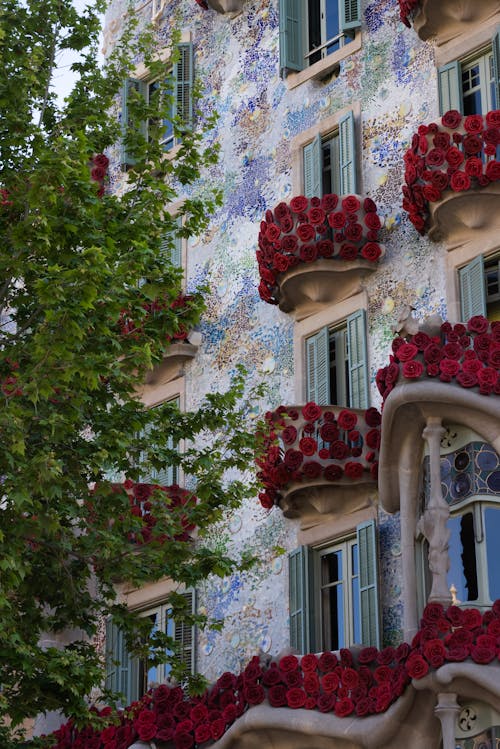 Immagine gratuita di albero, architettura, balconi