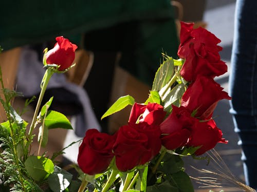 Free Close-Up View of Red Roses Stock Photo