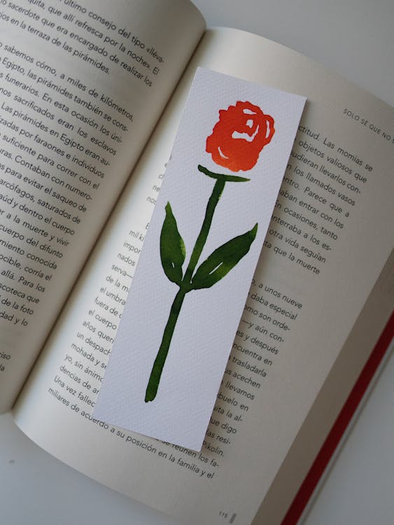 Free A Rose Bookmark on an Open Book Stock Photo