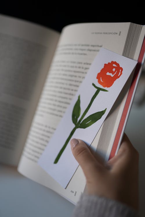 Free Person Holding a Rose Bookmark and a Book Stock Photo