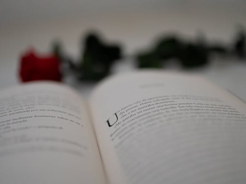 Selective Focus Photo of an Open Book