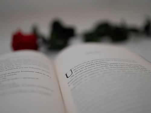 Free Close-up of an open book with text, set against a blurred red rose. Stock Photo