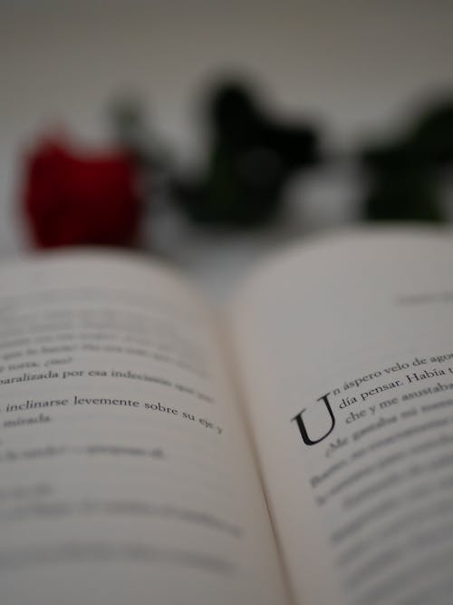 Selective Focus Photo of an Open Book