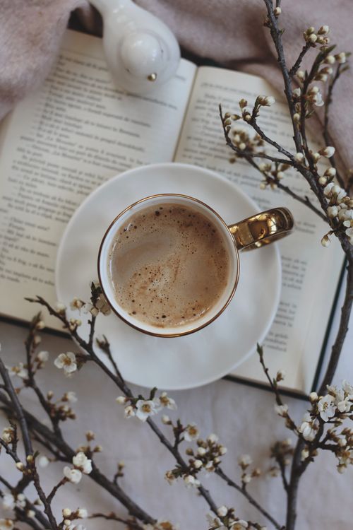 Free From above mug of hot coffee on opened book near decorative white bird and branches with flowers in light room Stock Photo