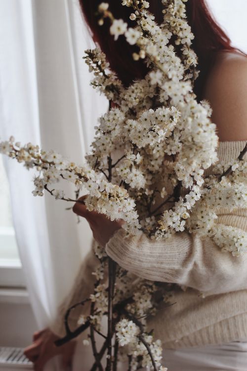 Free Side view of crop anonymous female with various branches of Cherry blossom with small gentle white flowers standing in light room near window Stock Photo
