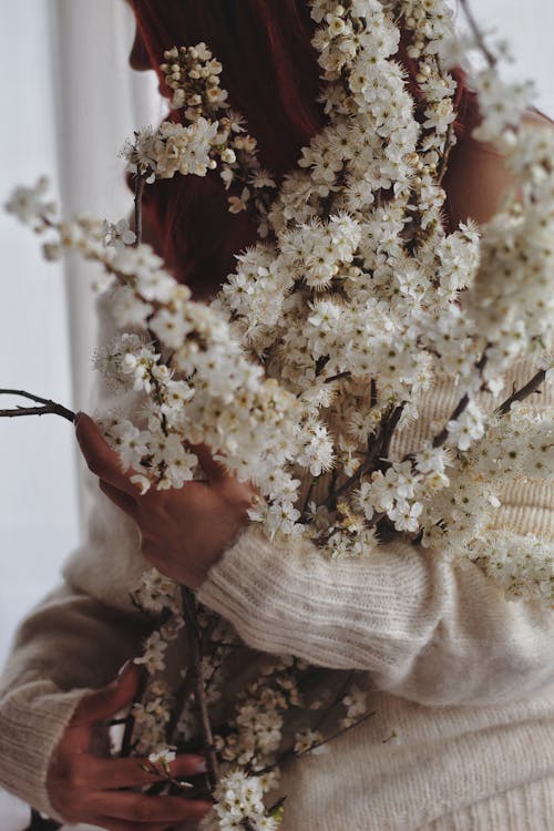 Kostnadsfri bild av blommig, blomning, bukett