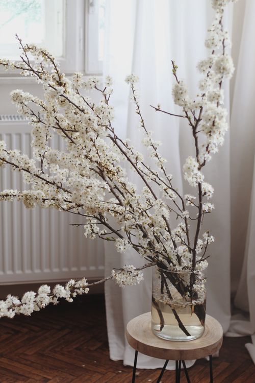 Free Charming white blossoms arranged in a glass vase, creating a serene indoor decor. Stock Photo