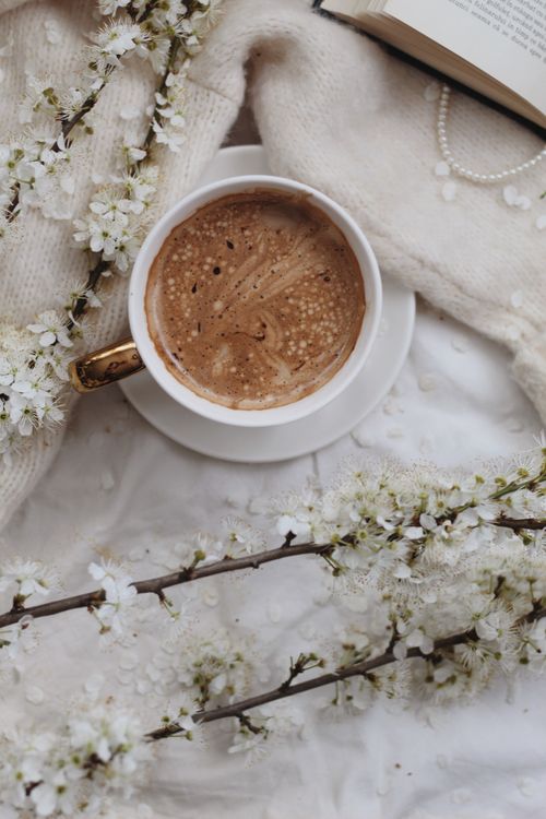 Free From above mug of tasty hot drink on plate placed near white warm sweater and blooming branches in light room Stock Photo