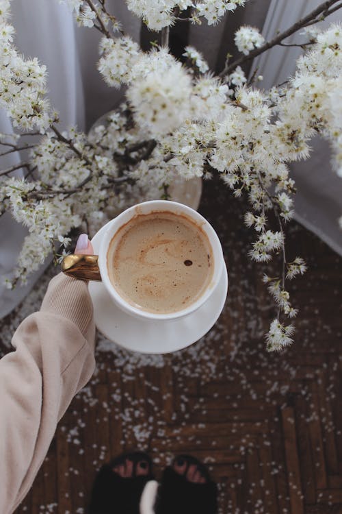 Free From above of crop unrecognizable female with cup of aromatic hot drink standing near blooming sprigs in room with scattered petals on floor Stock Photo