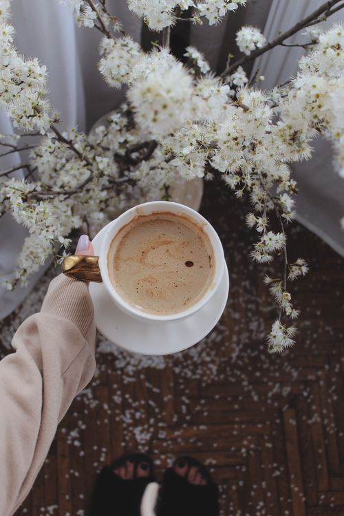 Free From above of crop unrecognizable female with cup of aromatic hot drink standing near blooming sprigs in room with scattered petals on floor Stock Photo