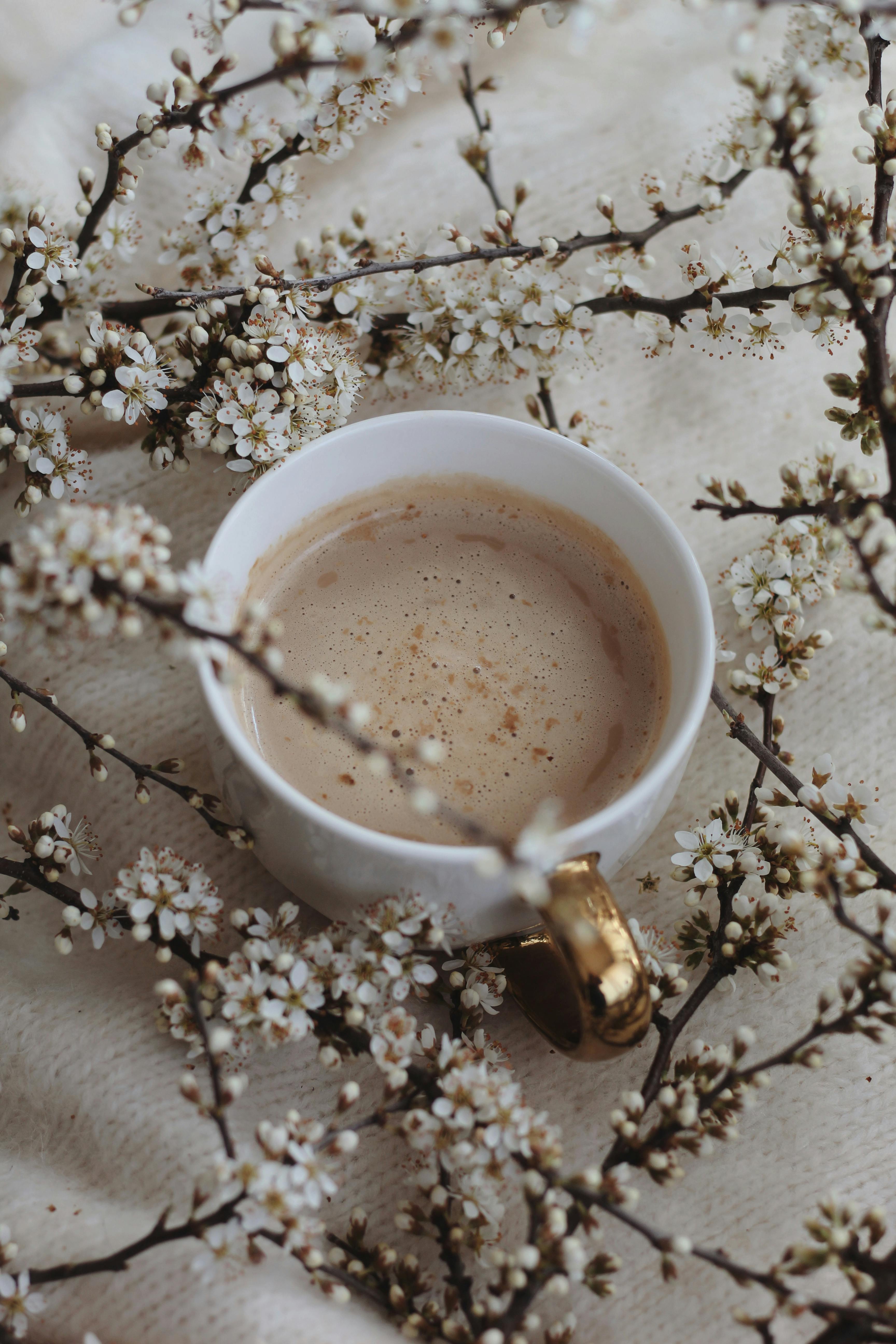 From above of white mug of aromatic coffee with foam placed on soft plaid amidst blooming sprigs in light room