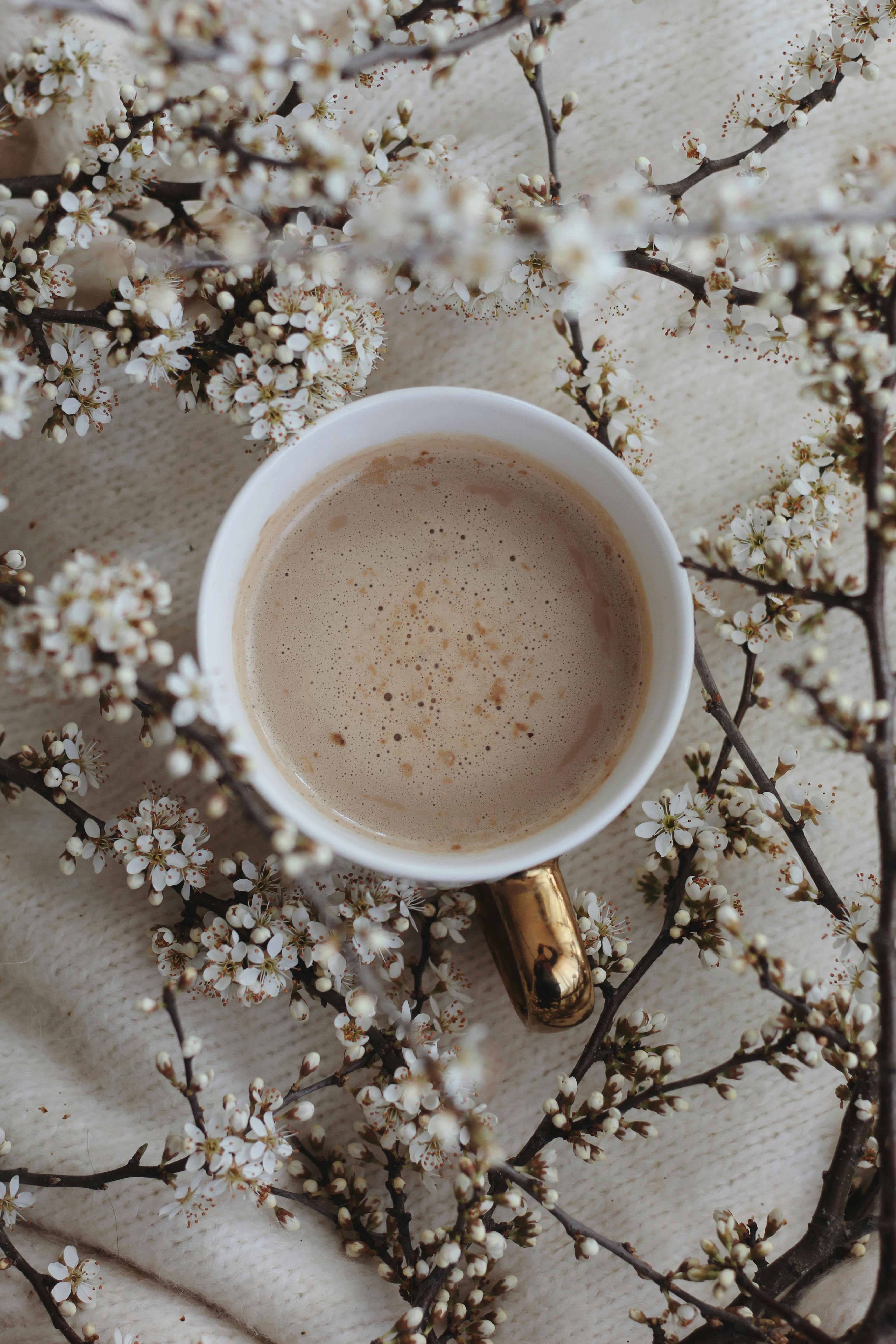 hot coffee amidst blooming branches