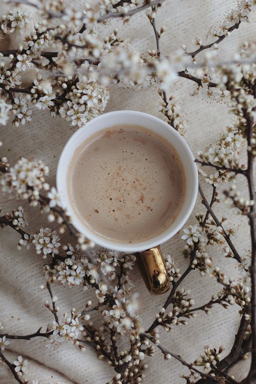 Free Hot coffee amidst blooming branches Stock Photo