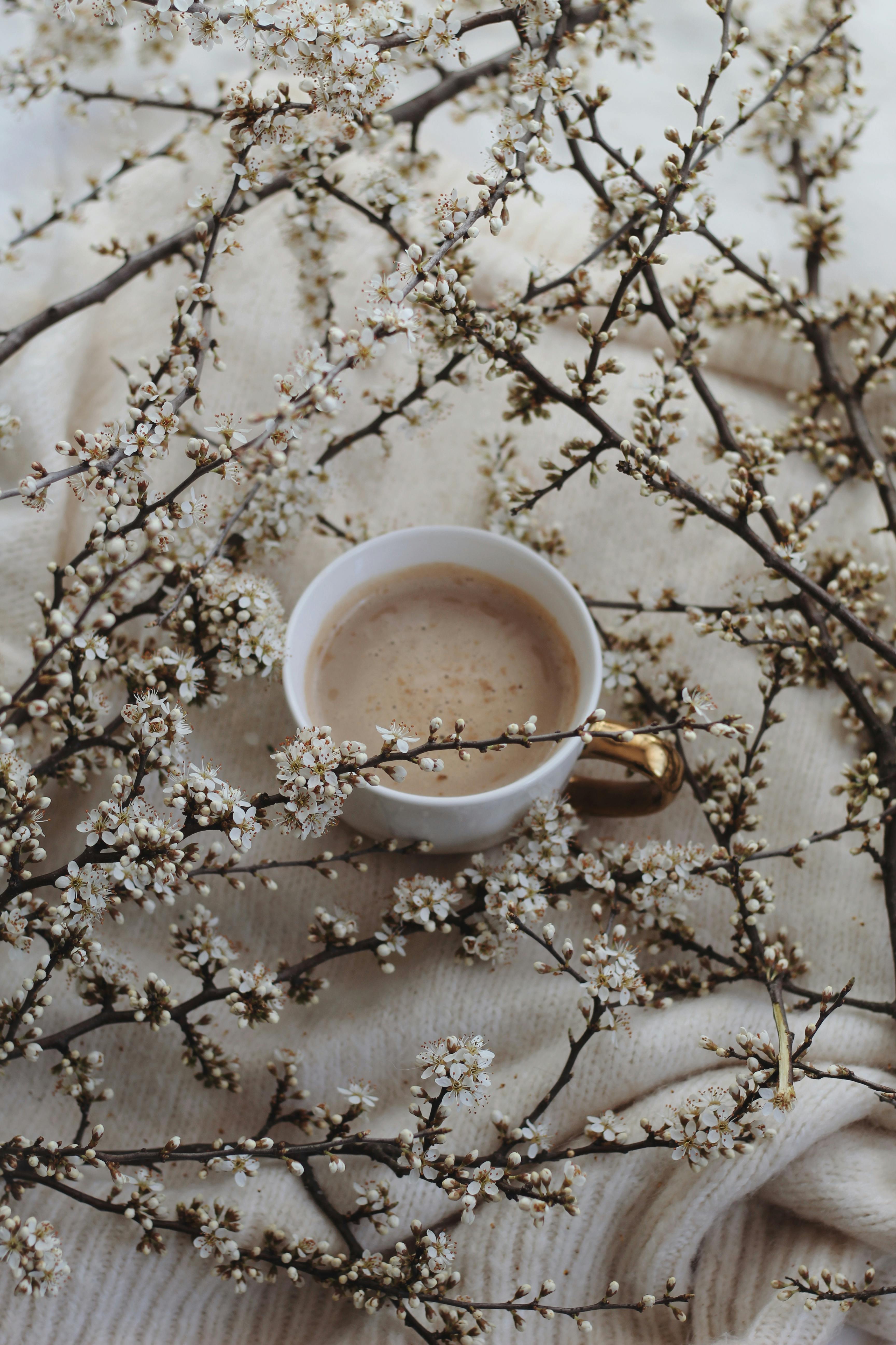 From above of white mug with hot coffee placed on soft blanket amidst blooming sprigs with white flowers in room