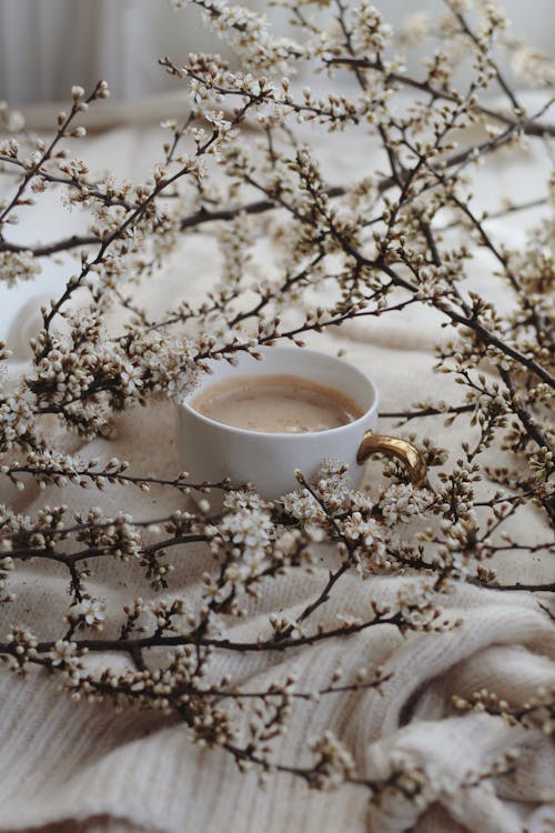 Free Cup of coffee amidst branches Stock Photo