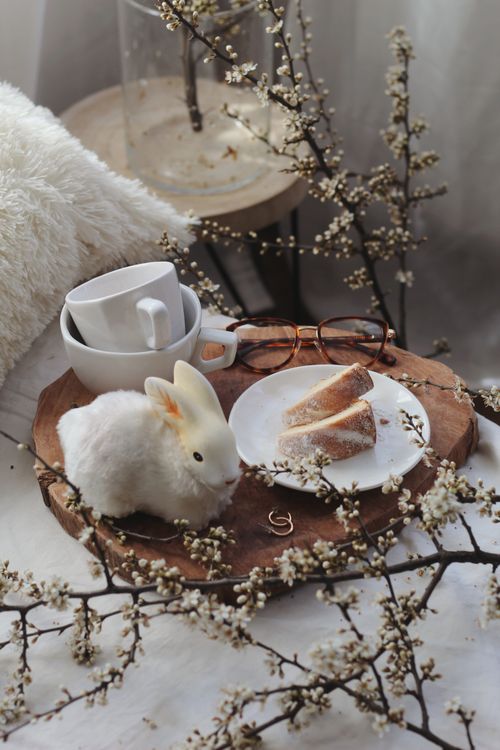 Free Wooden tray with decorative bunny and bundt cake slices placed on comfortable bed with pillow and blooming branches during Easter holiday Stock Photo