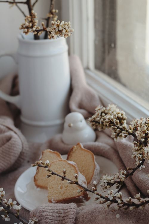 Free Plate with fresh bundt cake on soft sweater near window with creative decorative bird and blooming sprigs in light room Stock Photo