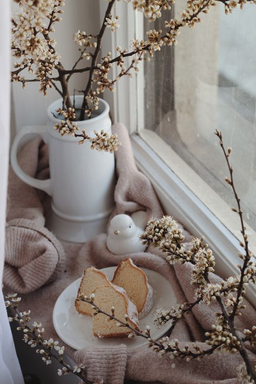 Free Slices of bundt cake placed on soft sweater near decorative bird and blooming sprigs in vase near window in light room Stock Photo
