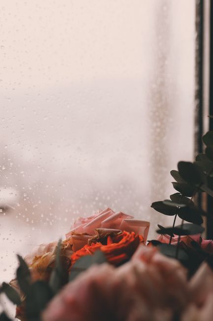 Bouquet of aromatic flowers placed in room against window with raindrops in cloudy day