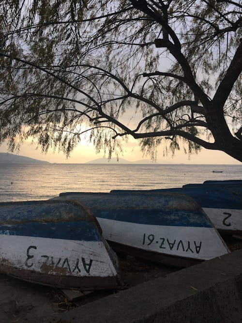 Boats on Coast