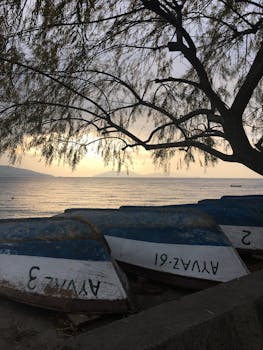 Peaceful sunset view of boats on a calm sea, framed by a tree onshore.