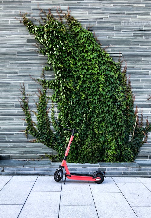 Modern electric scooter parked on sidewalk near brick wall and green plant on street in daytime