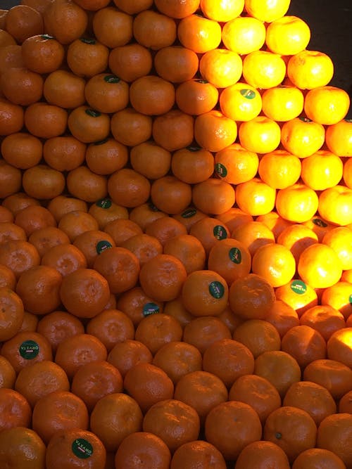 Free stock photo of orange