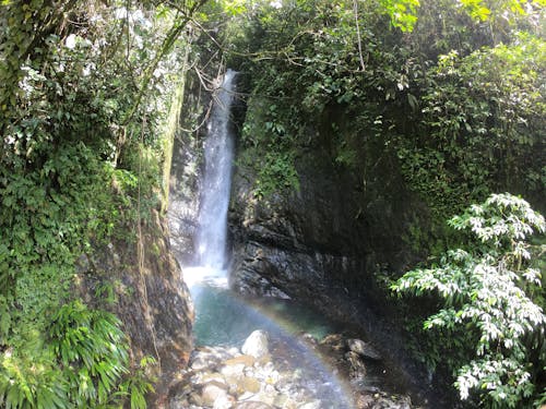 Kostenloses Stock Foto zu arco iris, baum, berg