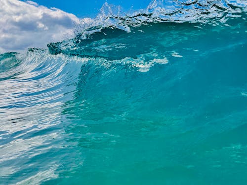 Imagine de stoc gratuită din face cu mâna, ocean, surfing