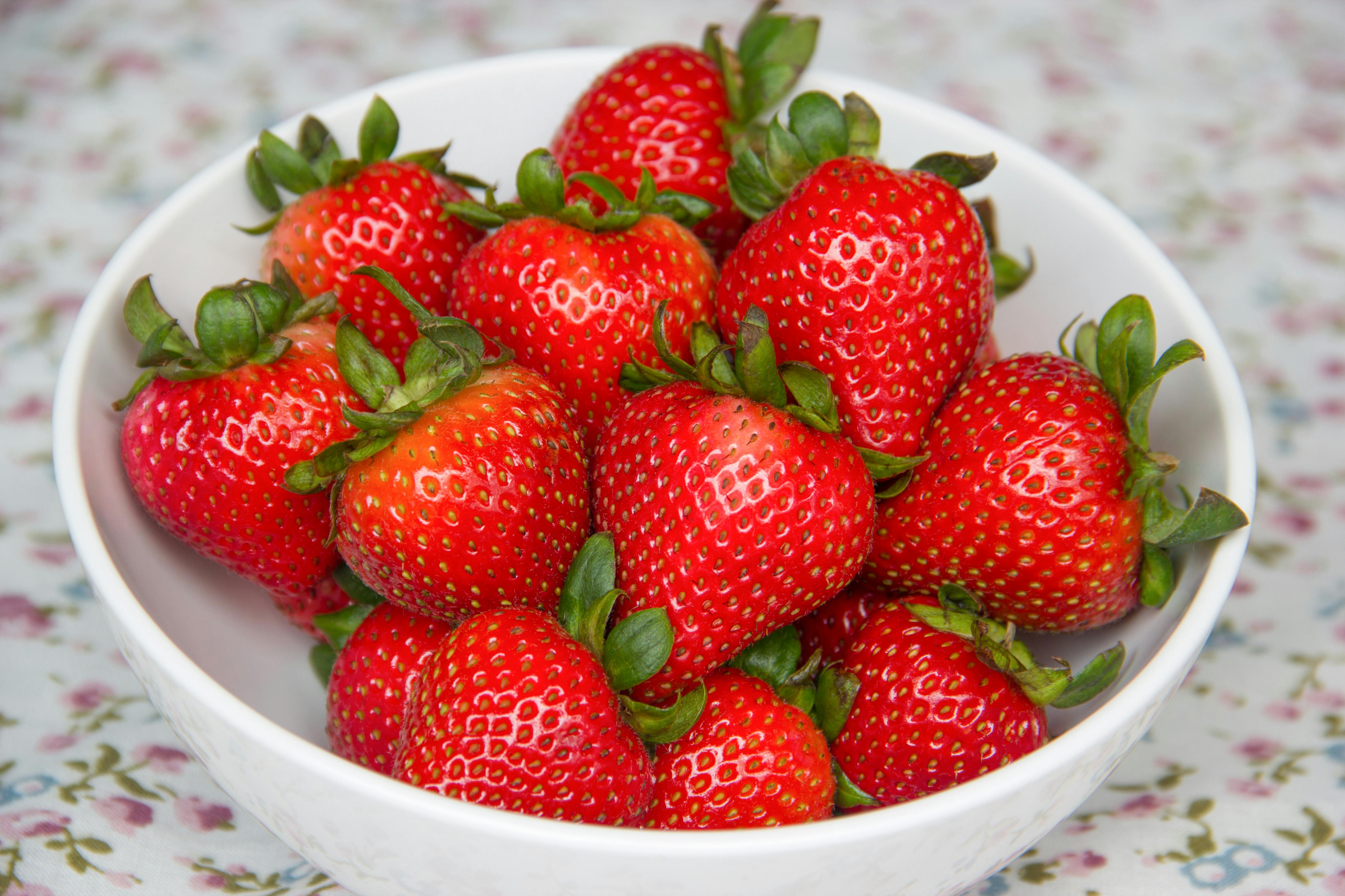 Fresh organic strawberry in white bowl · Free Stock Photo