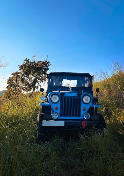 Free stock photo of foggy morning, jeep, mahendra