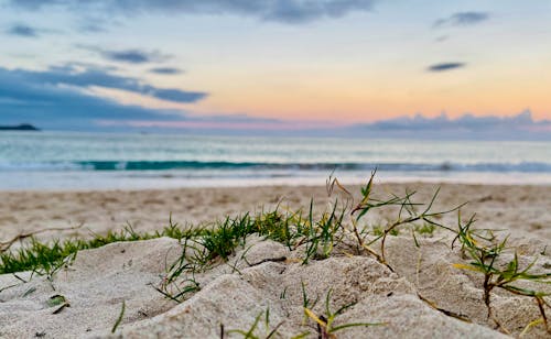 Photos gratuites de plage