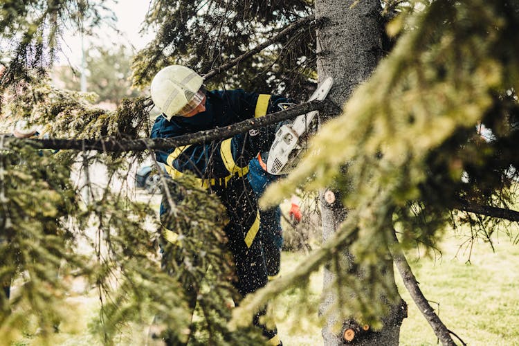 A Firefighter Cutting A Tree Branch 