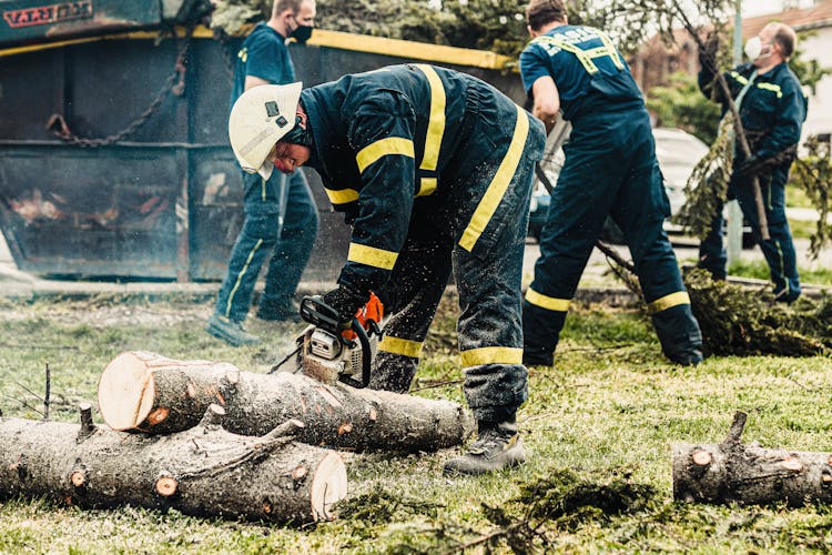 A Man Cutting The Tree Trunk Using A Chainsaw