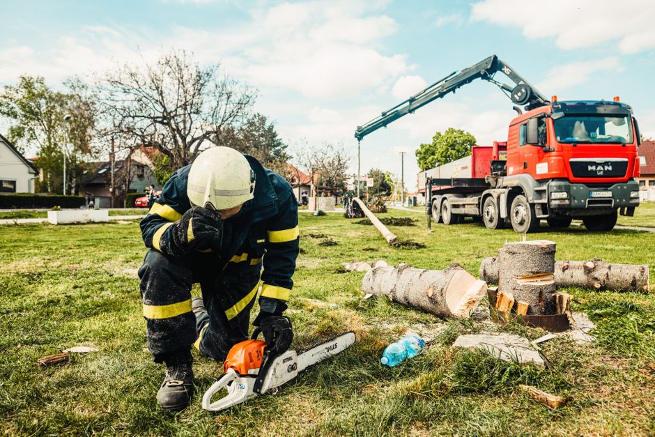 Arborist in safety gear working beside a truck-mounted crane during a tree removal