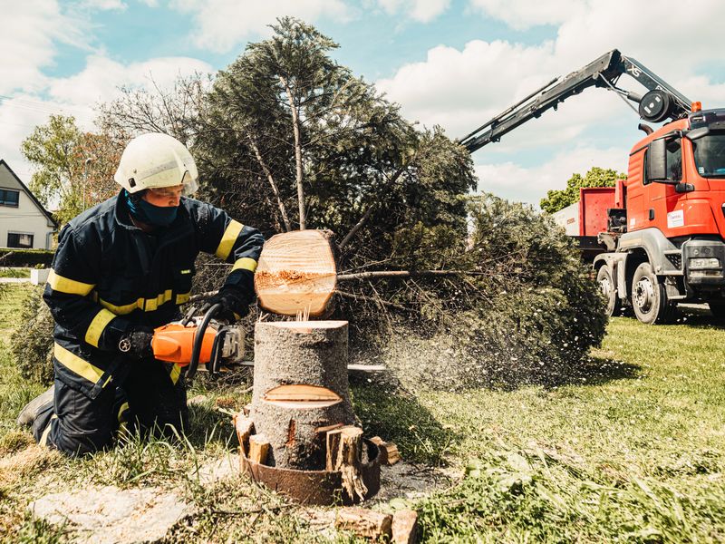 Jesse James Tree Service work