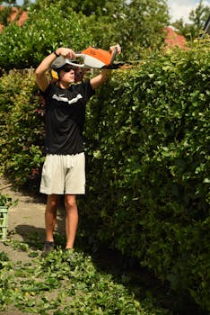 Telescopic hedge trimmer