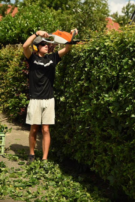 Telescopic hedge trimmer