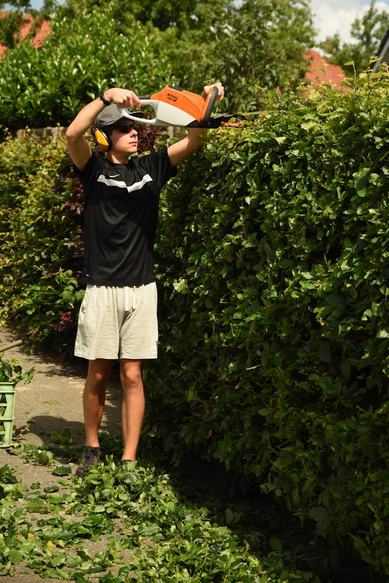 Man trimming hedges with power tool