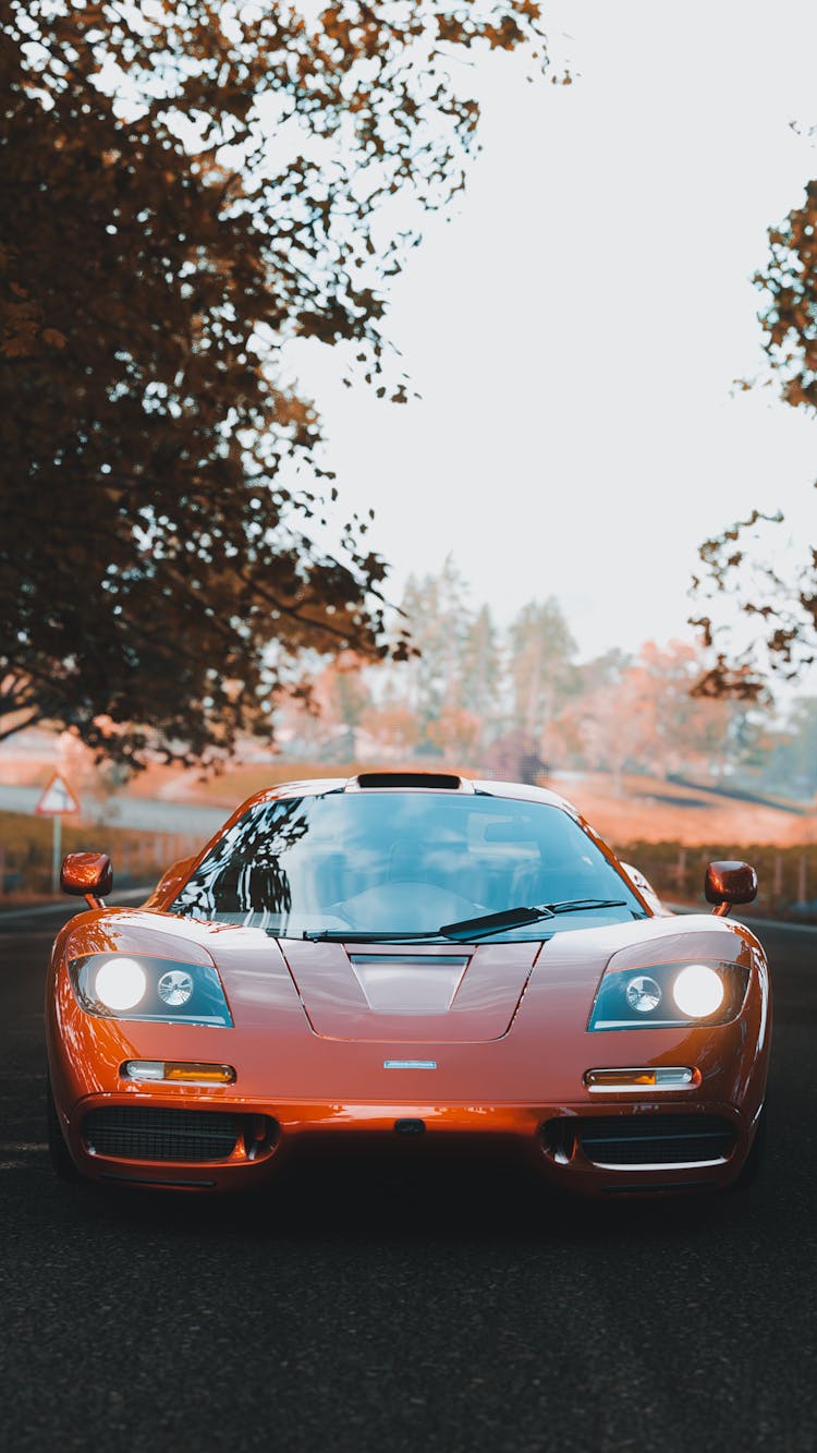 A Beautiful McLaren F1 LM On The Road