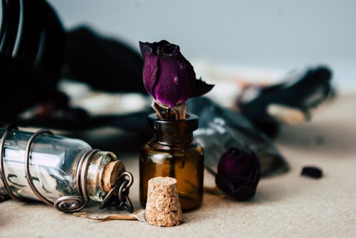 Composition with small glass jar with dried purple rose placed in light room